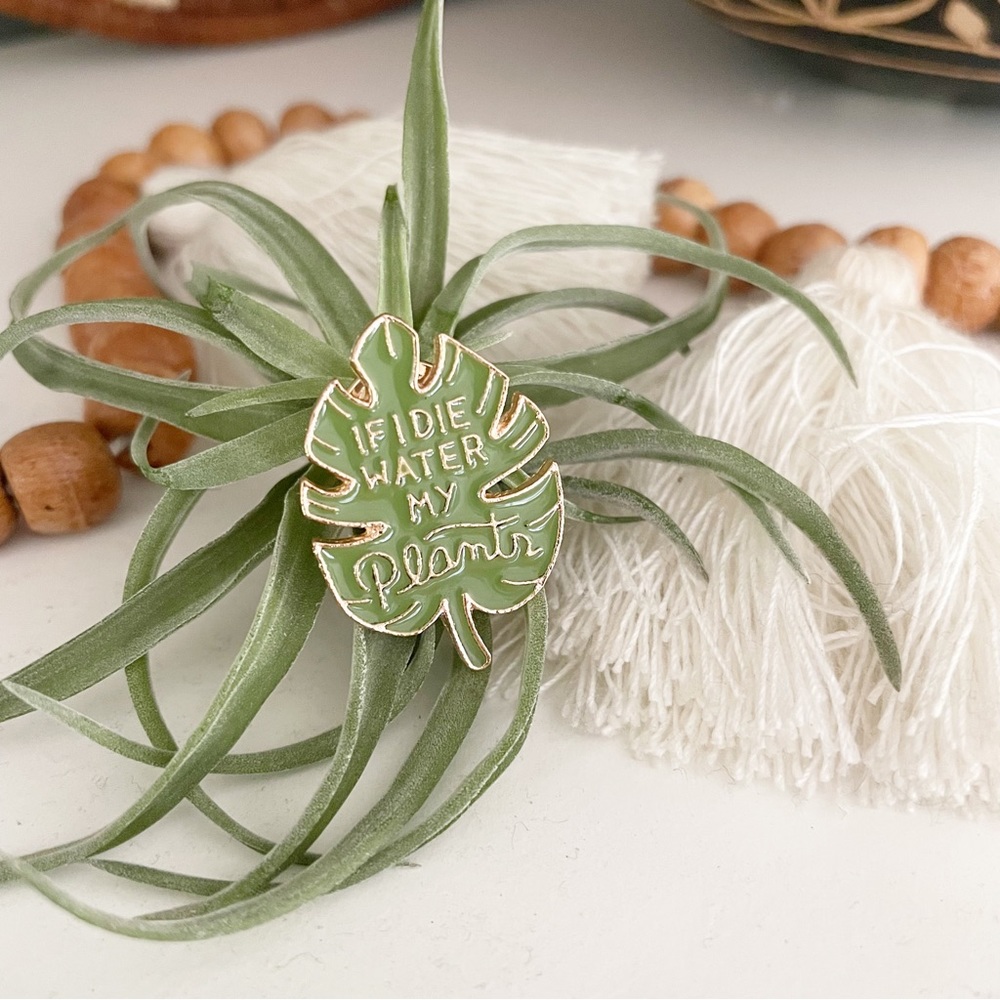 Monstera funny plant metal pin. Brand new!